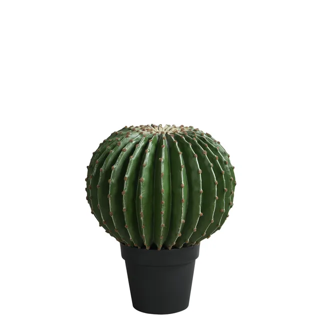 sia-noah-cactus-artificiel-en-pot-vert-43-cm image 1