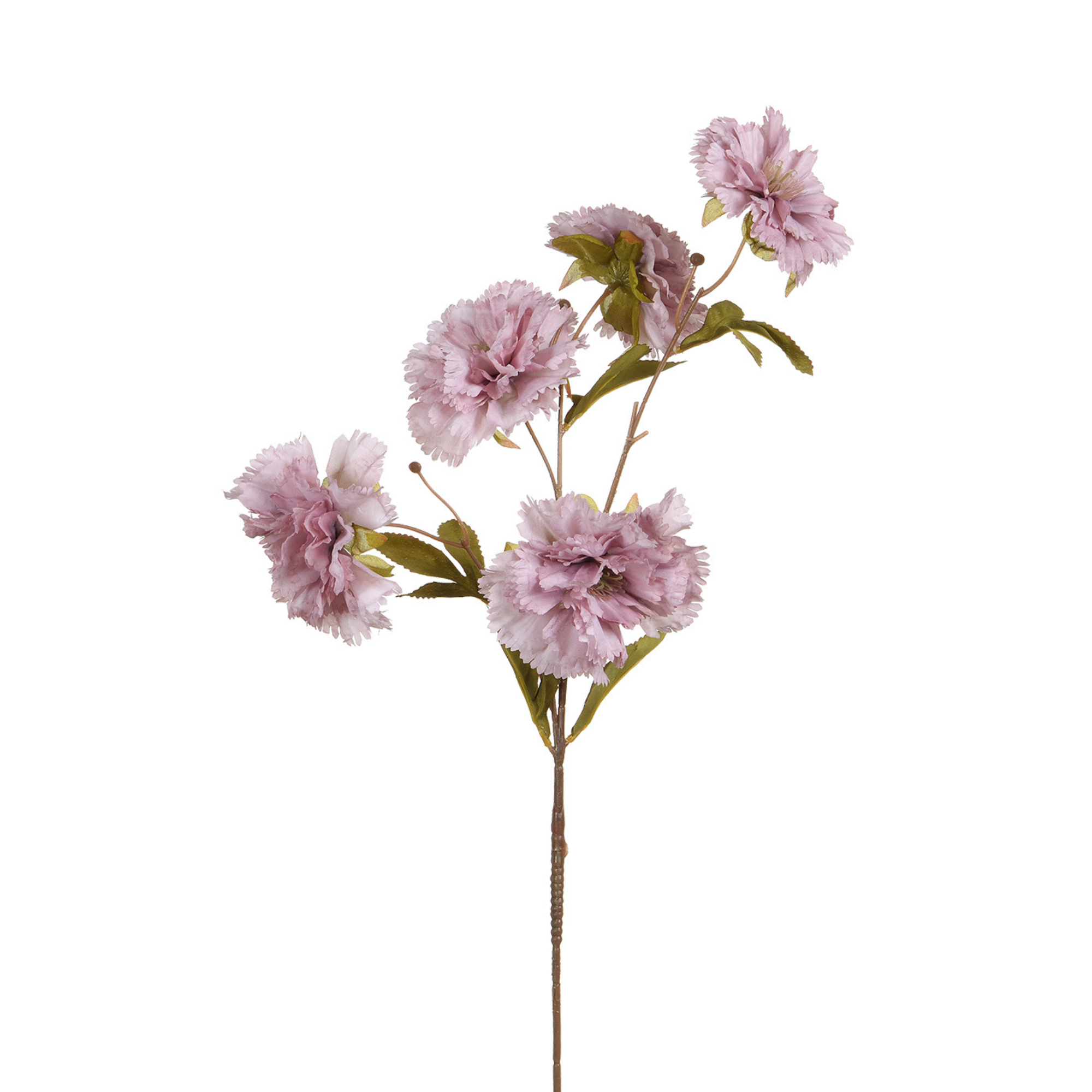 sia-deco-noah-illet-tige-fleur-artificielle-70-cm-cr-me image 7