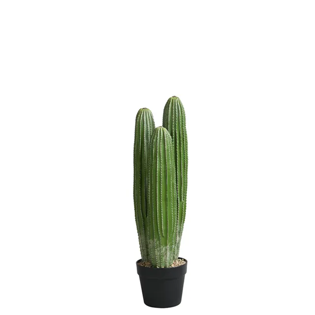 sia-deco-noah-cereus-cactus-artificiel-vert-63-cm image 1