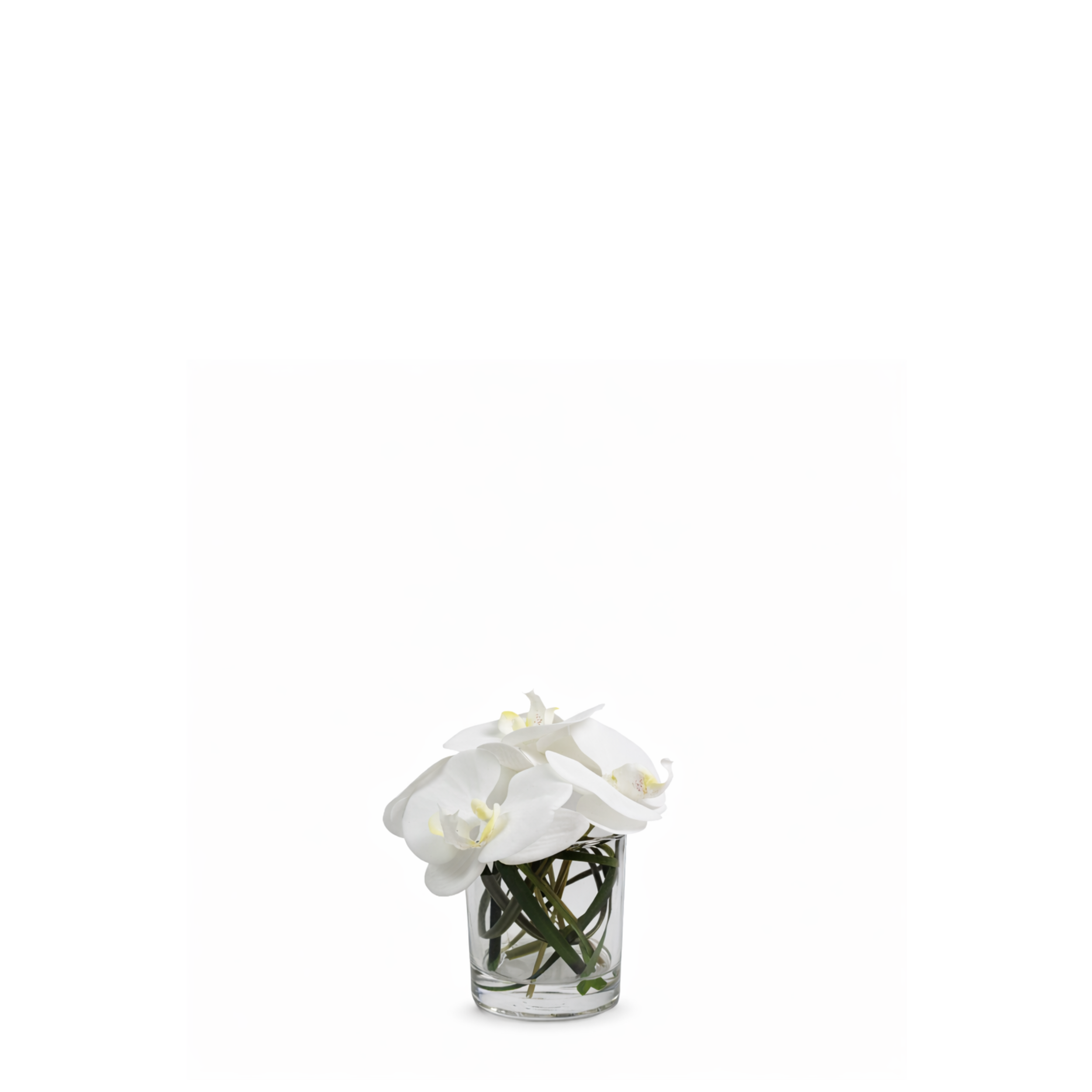 sia-deco-noah-composition-orchid-e-artificielle-vase-blanc image 1