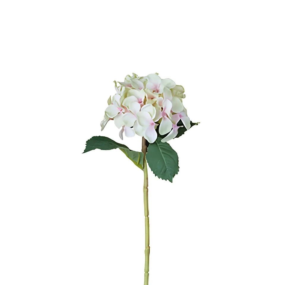 sia-noah-tige-d-hydrangea-26-cm-cr-me-et-rose image 1