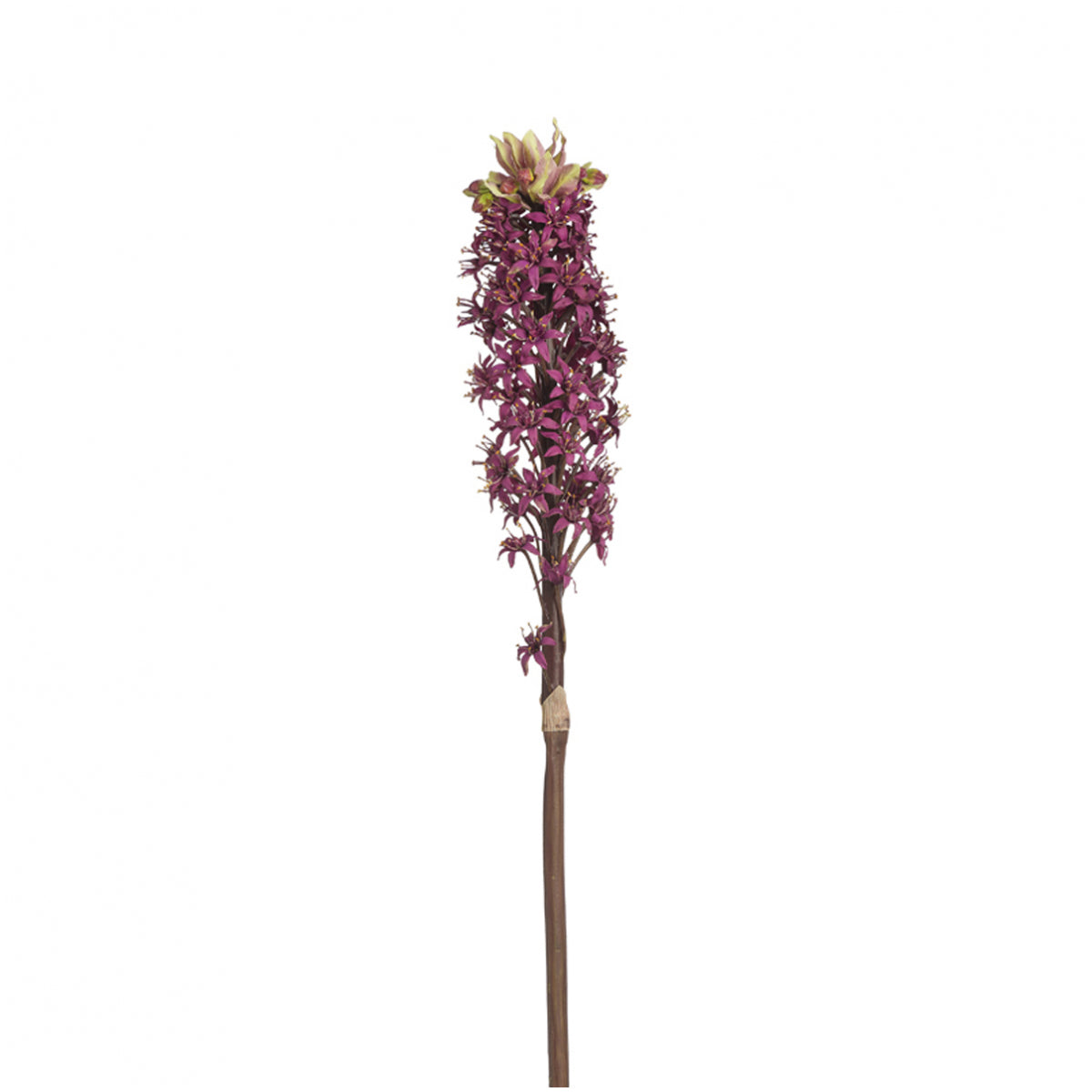 sia-deco-noah-lis-ananas-fleur-artificielle-bordeaux-90-cm image 1