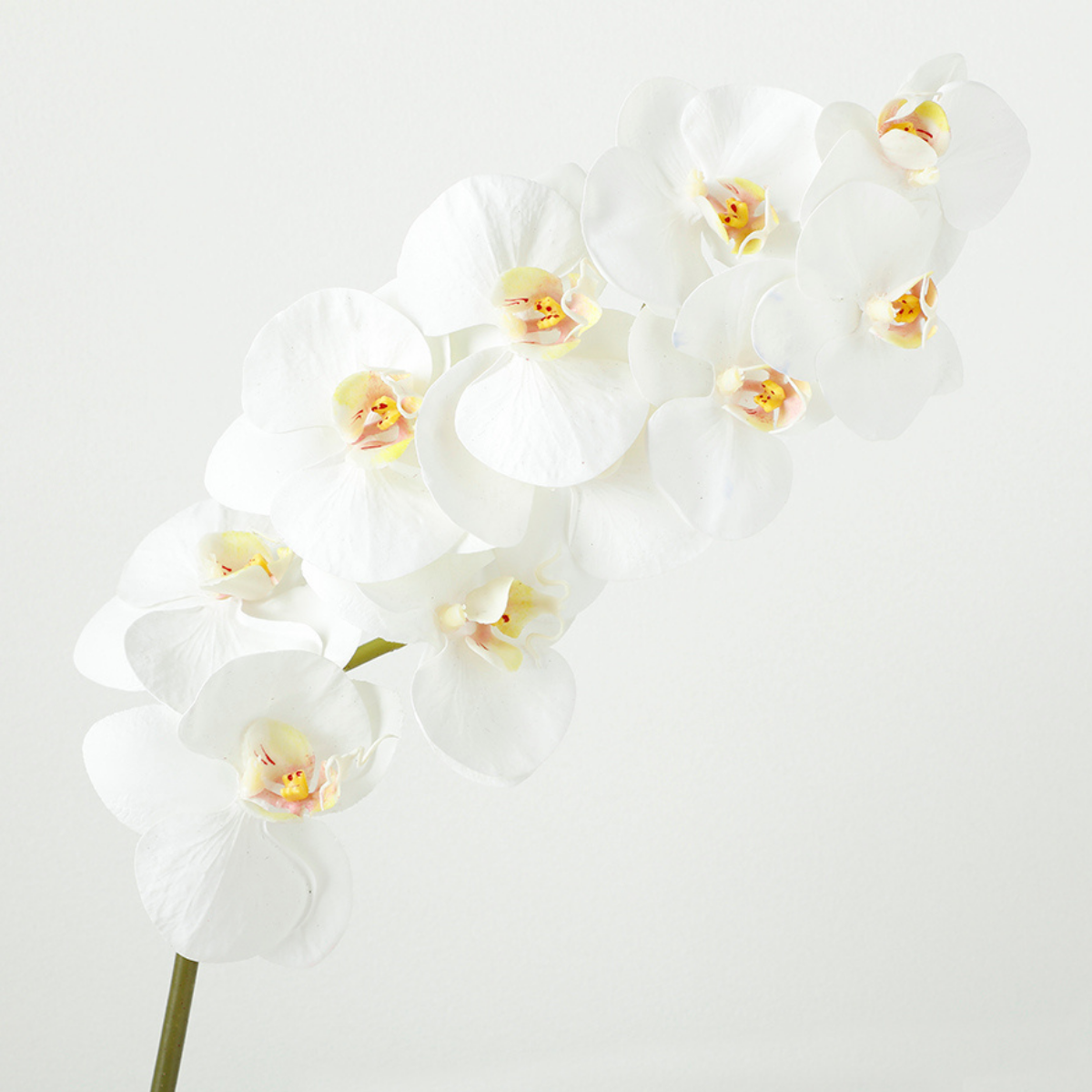 sia-deco-noah-tige-orchid-e-blanche-100cm-premium image 3