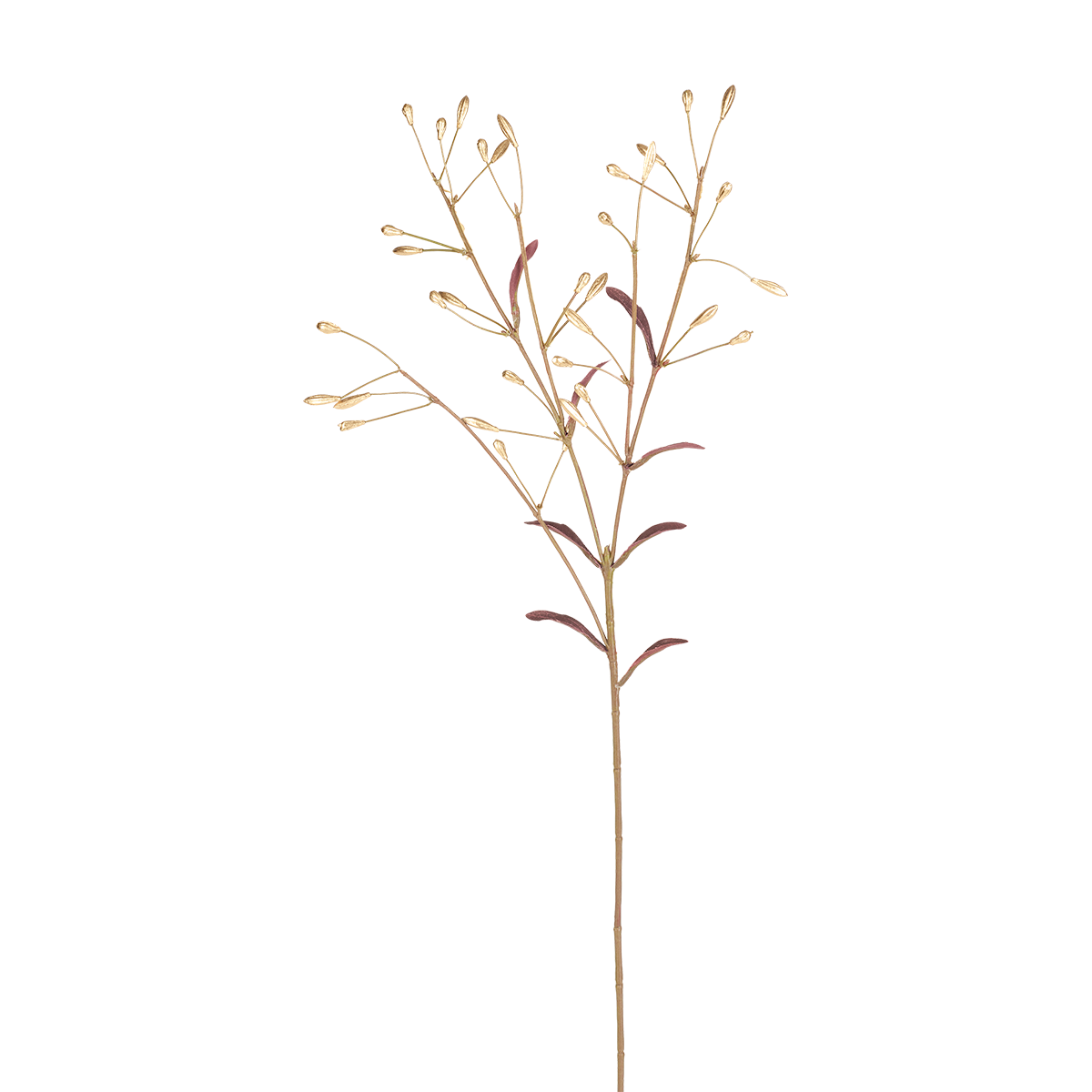 sia-noah-feuillage-fantaisie-dor-73-cm image 1