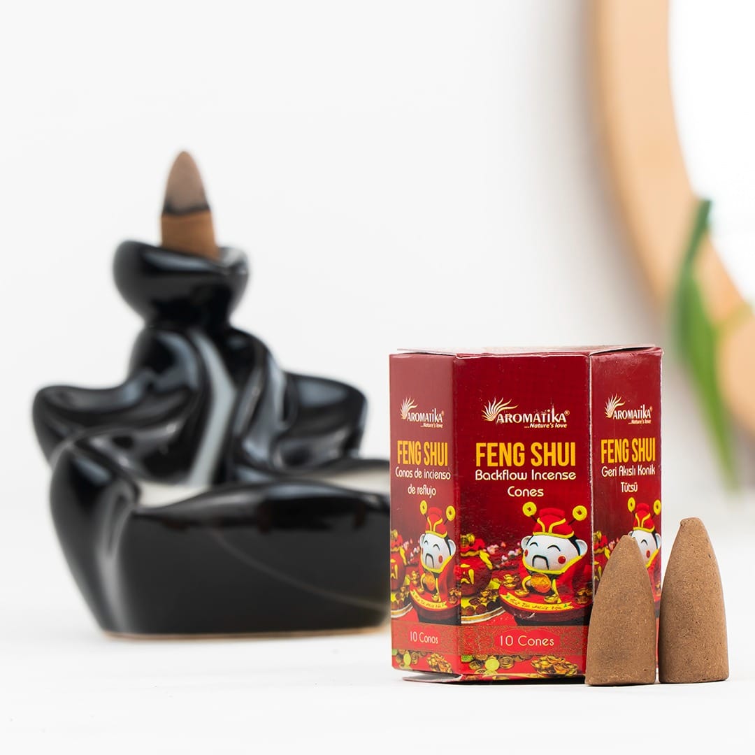 aromatika-backflow-feng-shui-c-nes-backflow-120-harmonie-zen image 1