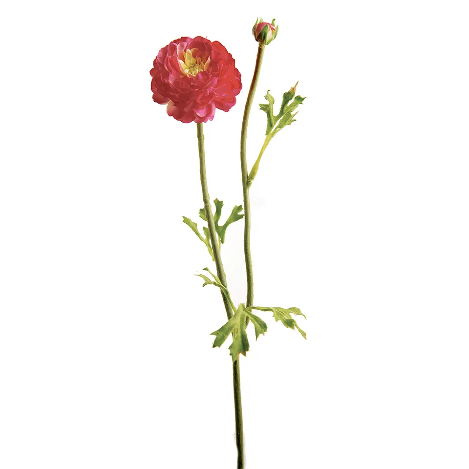 sia-deco-noah-mathilda-tige-renoncule-artificielle-rouge-36-cm image 1