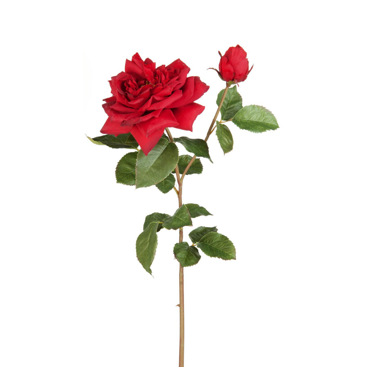 sia-deco-noah-tige-rose-david-fleur-artificielle-rose-p-le-80-cm image 8