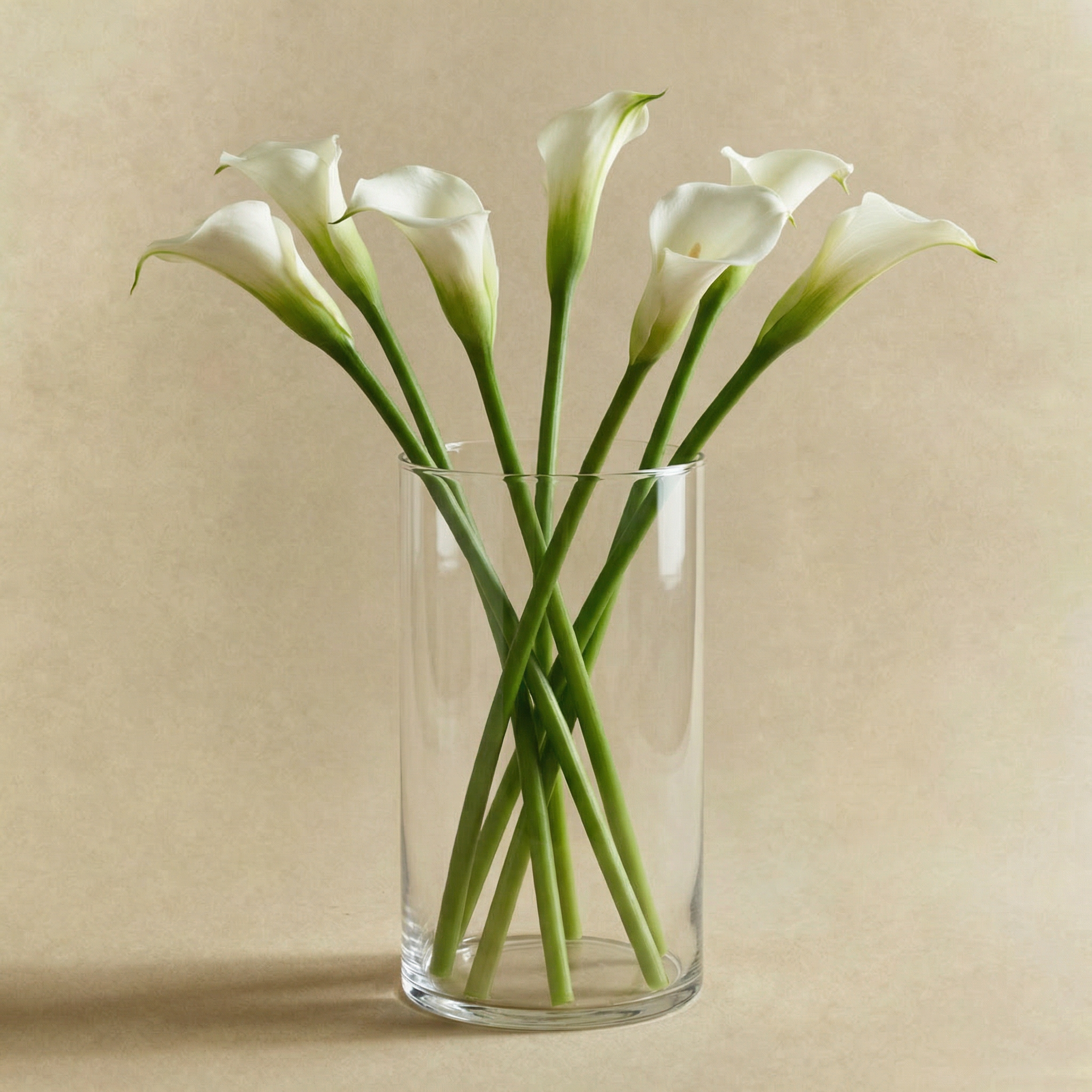 sia-nora-photophore-halo-16-cm-transparent-verre image 3