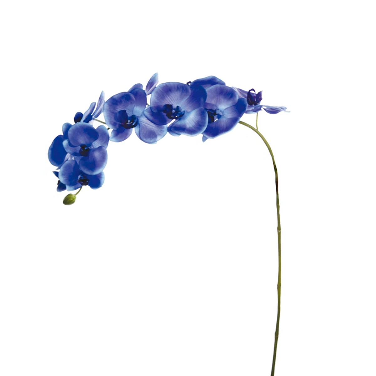 sia-deco-noah-phalaenopsis-tige-orchid-e-blanc-violet-100cm image 4