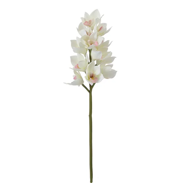 sia-deco-noah-tige-orchid-e-cymbidium-blanc-62-cm image 1