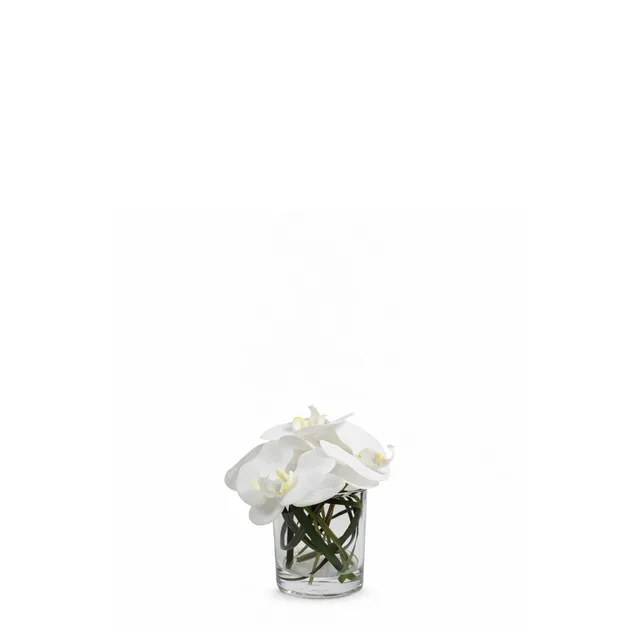 sia-deco-noah-composition-orchid-e-artificielle-vase-blanc image 1