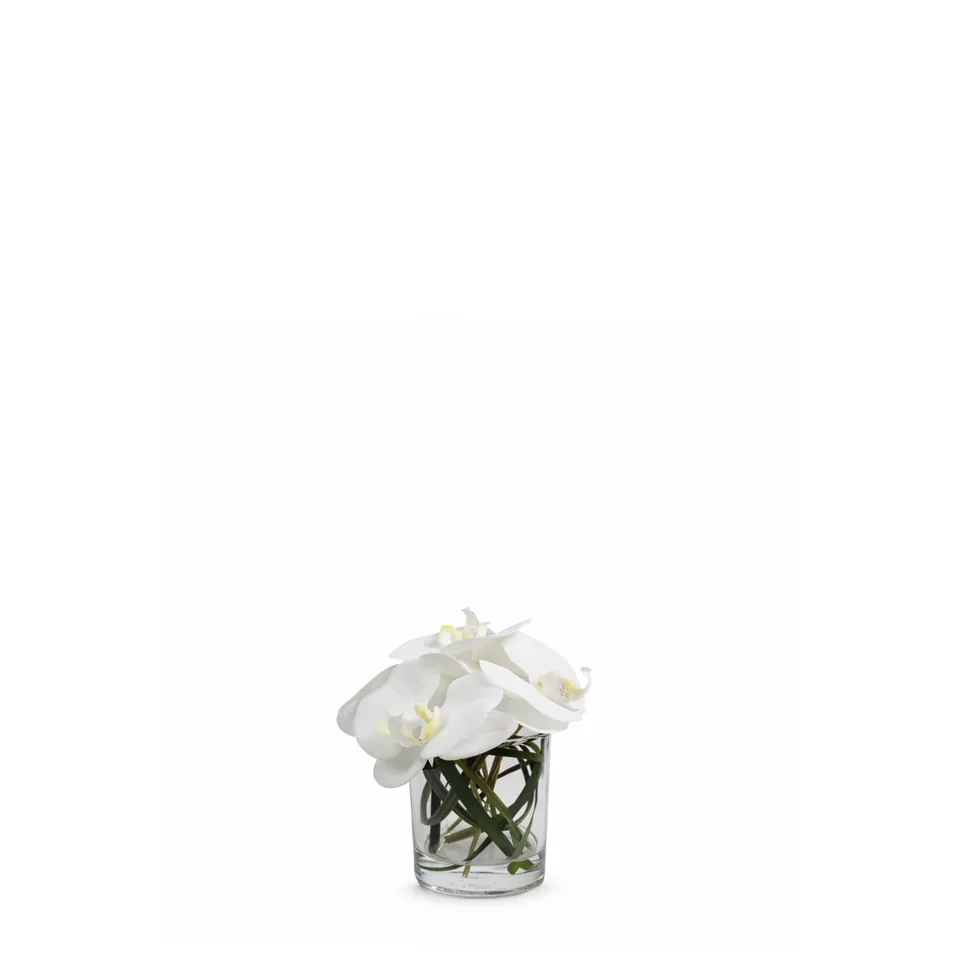 sia-deco-noah-composition-orchid-e-artificielle-vase-blanc image 1
