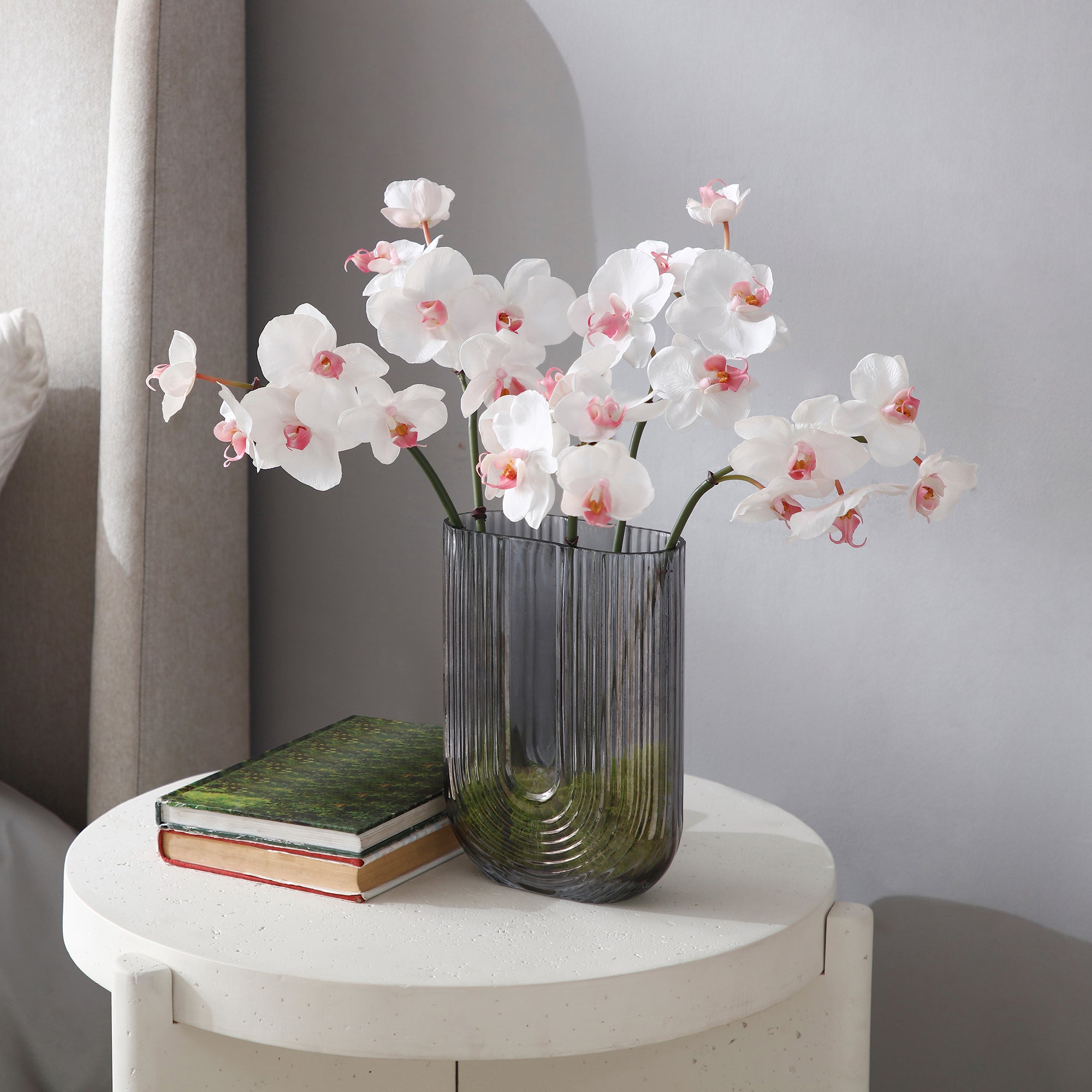 sia-noah-orchid-e-phalaenopsis-60cm-tige-blanc-rose image 3