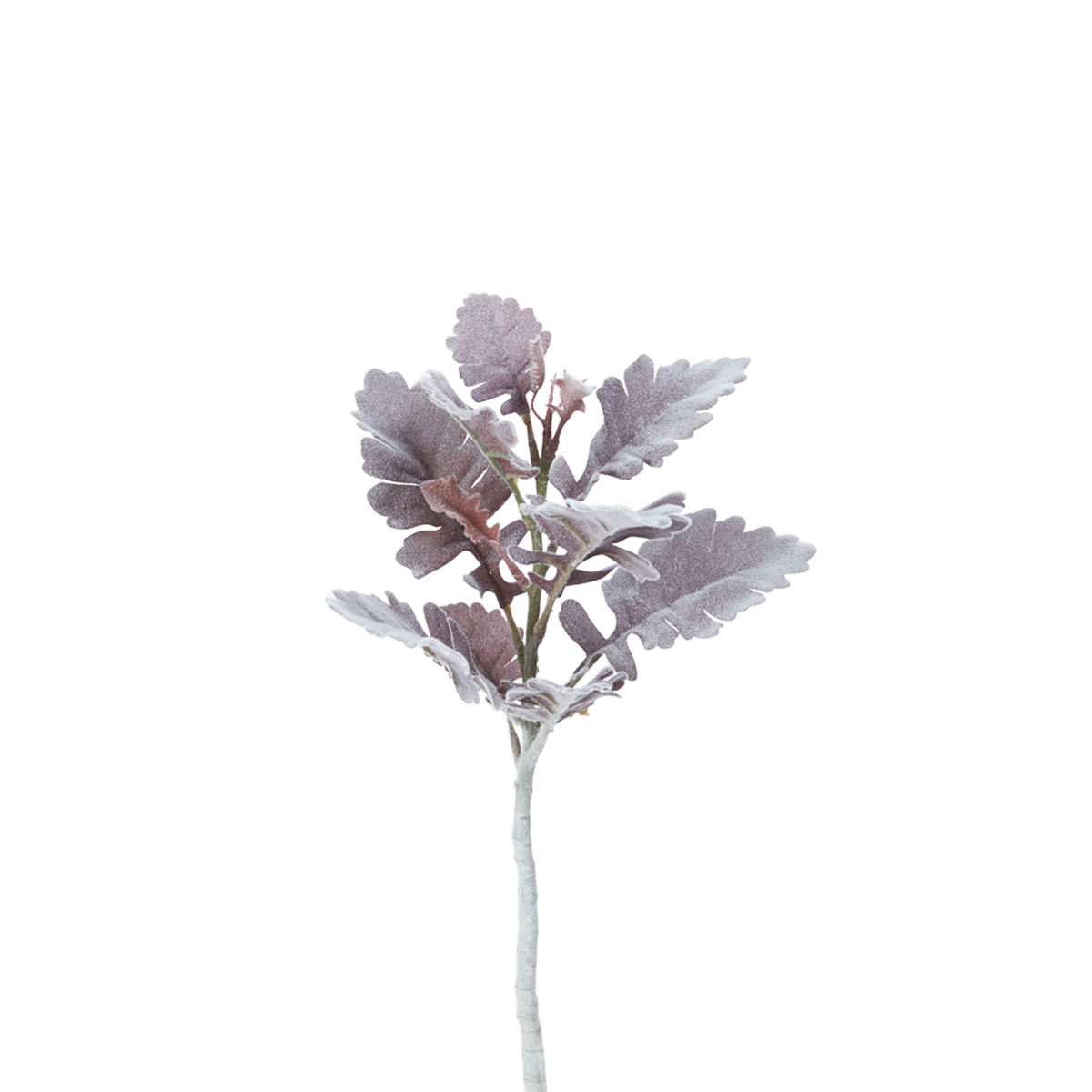 sia-deco-noah-dusty-miller-tige-feuillage-vert-30-cm image 3