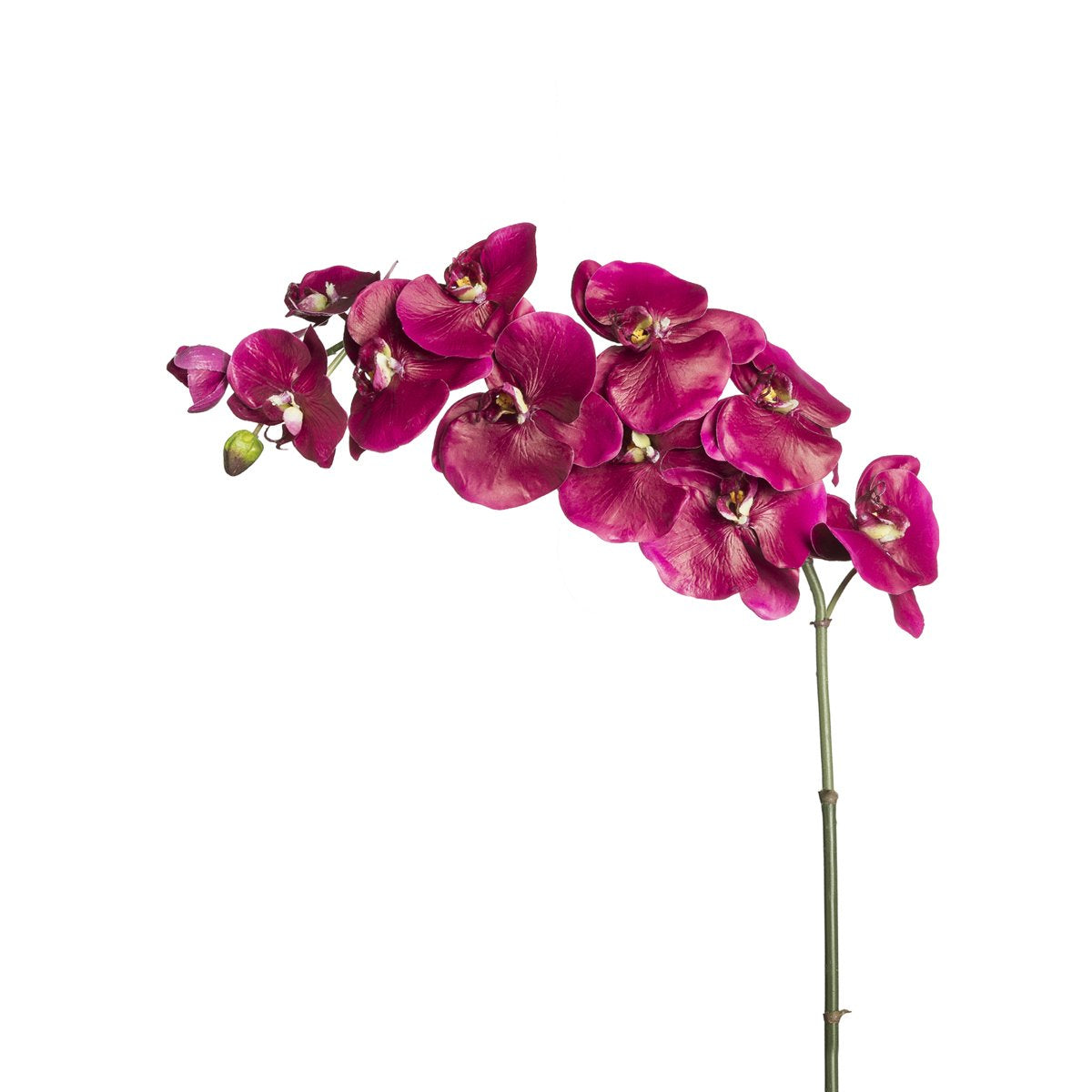 sia-deco-noah-budy-tige-orchid-e-rose-104cm image 3