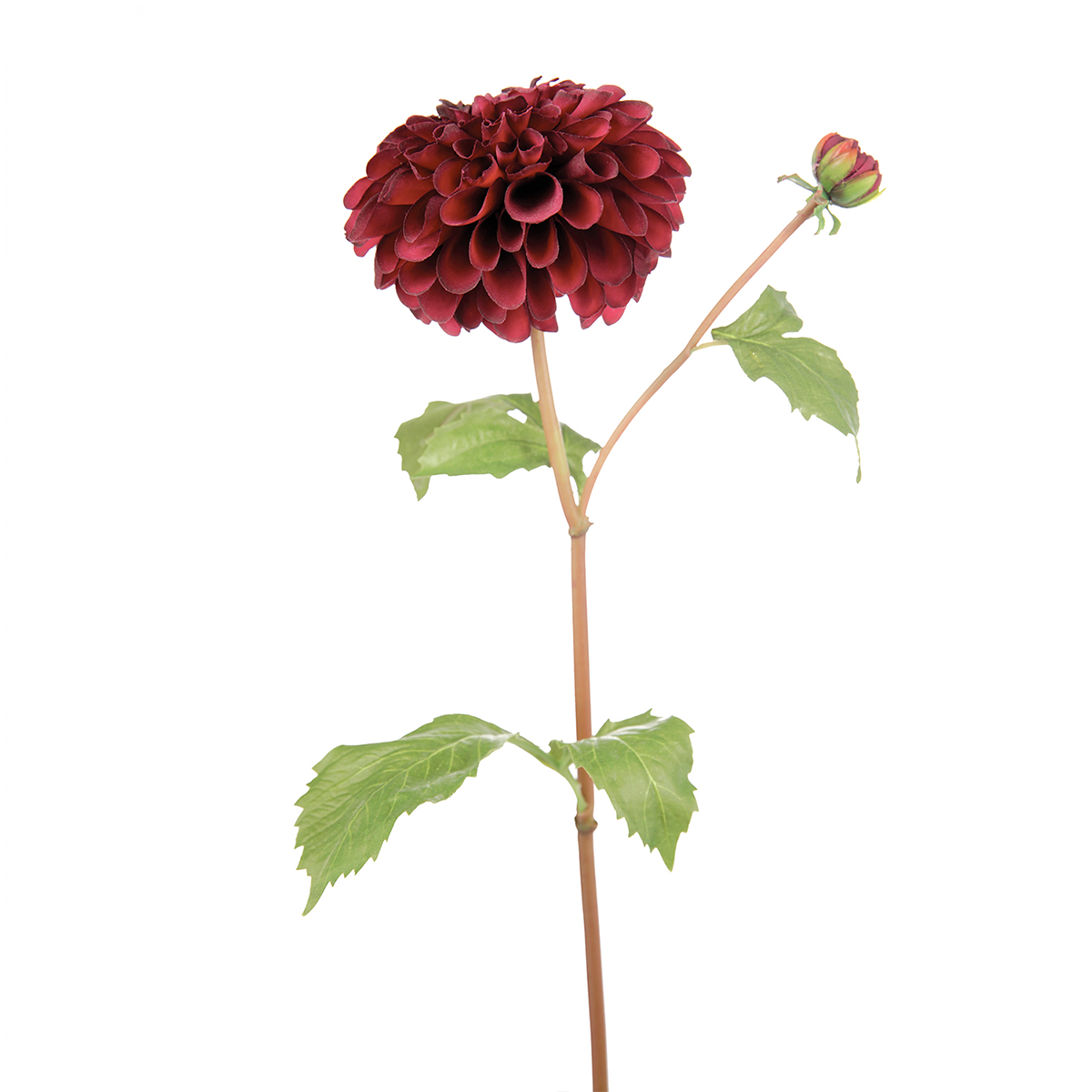 sia-deco-noah-bonnie-tige-dahlia-rose-50cm-bourgeon image 8