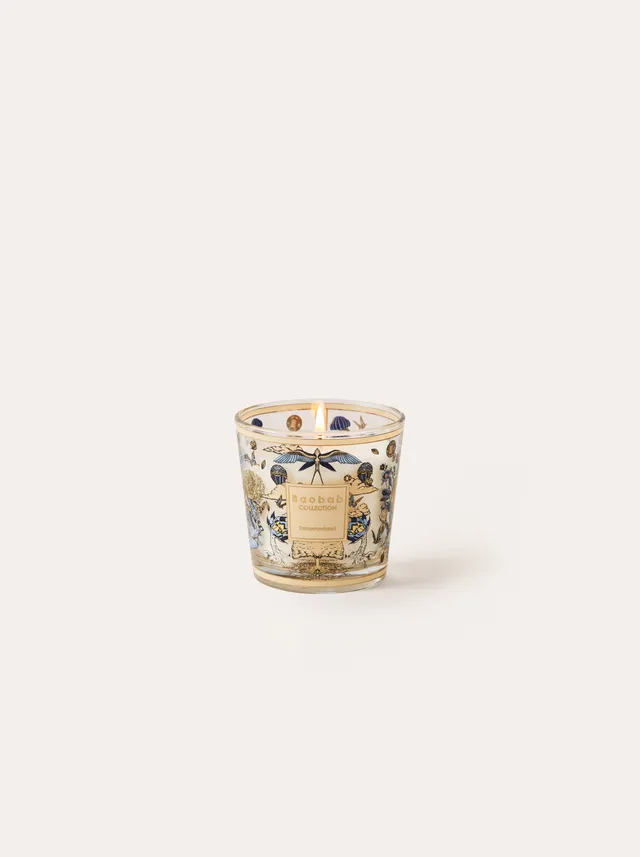 baobab-collection-my-first-baobab-tomorrowland-bougie-parfum-e-bleue image 1