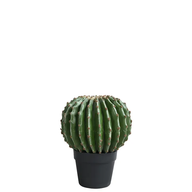 sia-noah-cactus-rond-31-cm-plante-artificielle-verte image 1