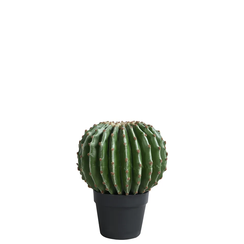 sia-noah-cactus-rond-31-cm-plante-artificielle-verte image 1