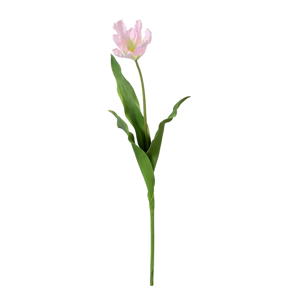 sia-deco-noah-tulipe-perroquet-tige-fleur-rose-63-cm image 1