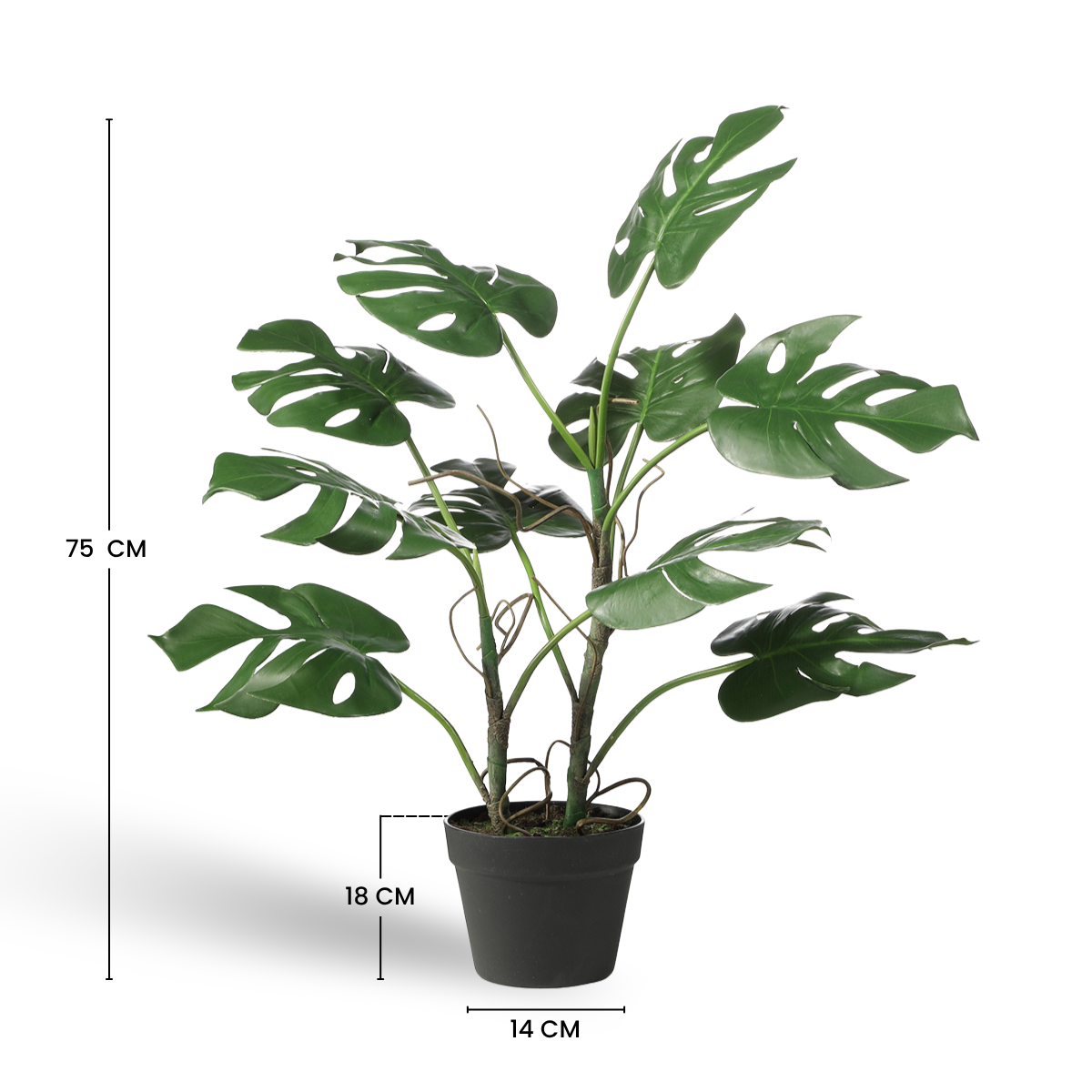 sia-deco-noah-monstera-artificielle-verte-75-cm-en-pot image 4