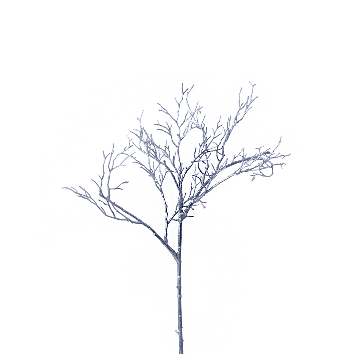 sia-noah-branchage-m-tallis-54-cm-cuivre-dor image 4