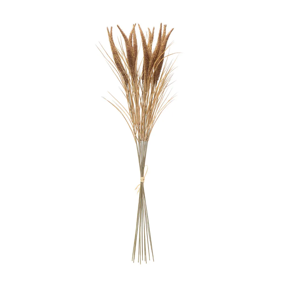 sia-deco-noah-bouquet-pampa-12-tiges-80-cm-beige image 1