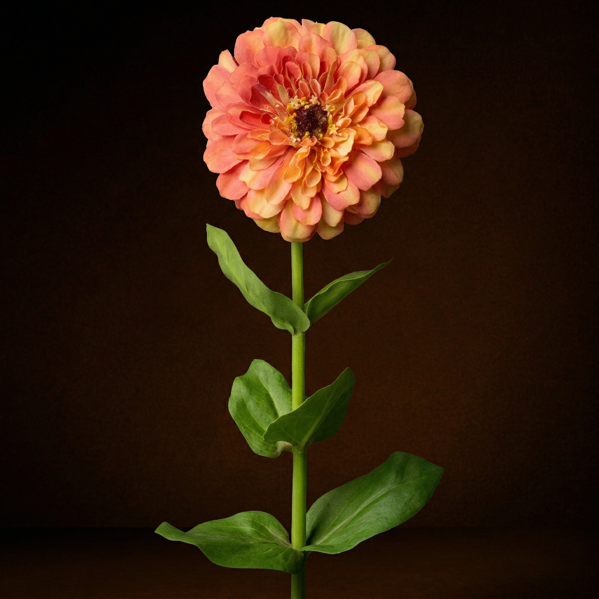 sia-deco-noah-tige-zinnia-artificiel-orange-68-cm image 2