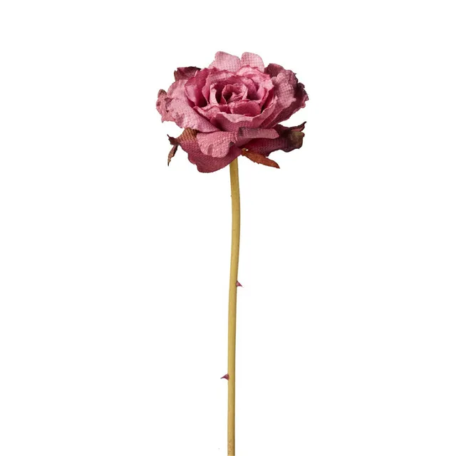 sia-deco-noah-leslie-tige-rose-violet-55cm-ouverte image 1