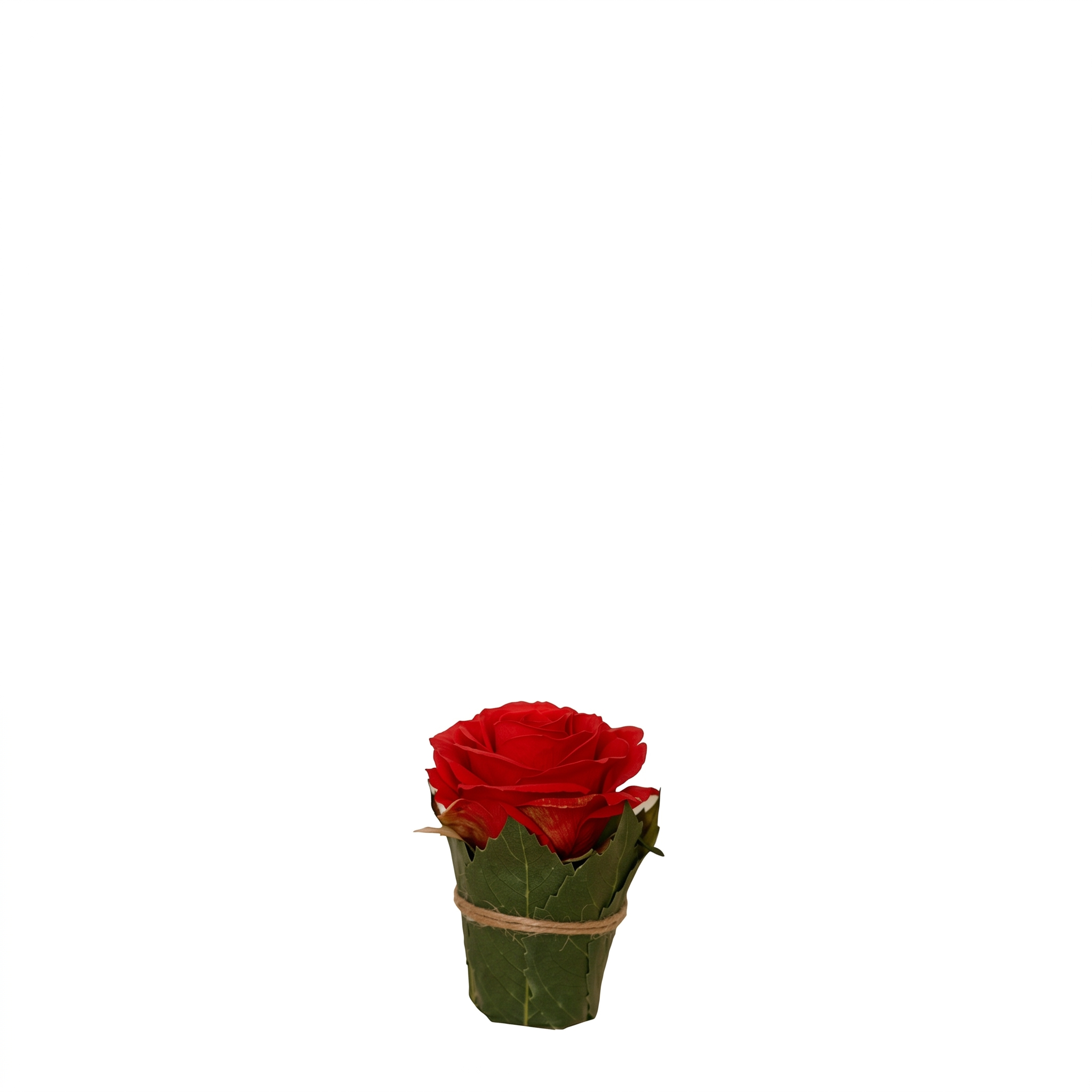 sia-noah-rose-artificielle-corail-9-cm-feuilles image 5