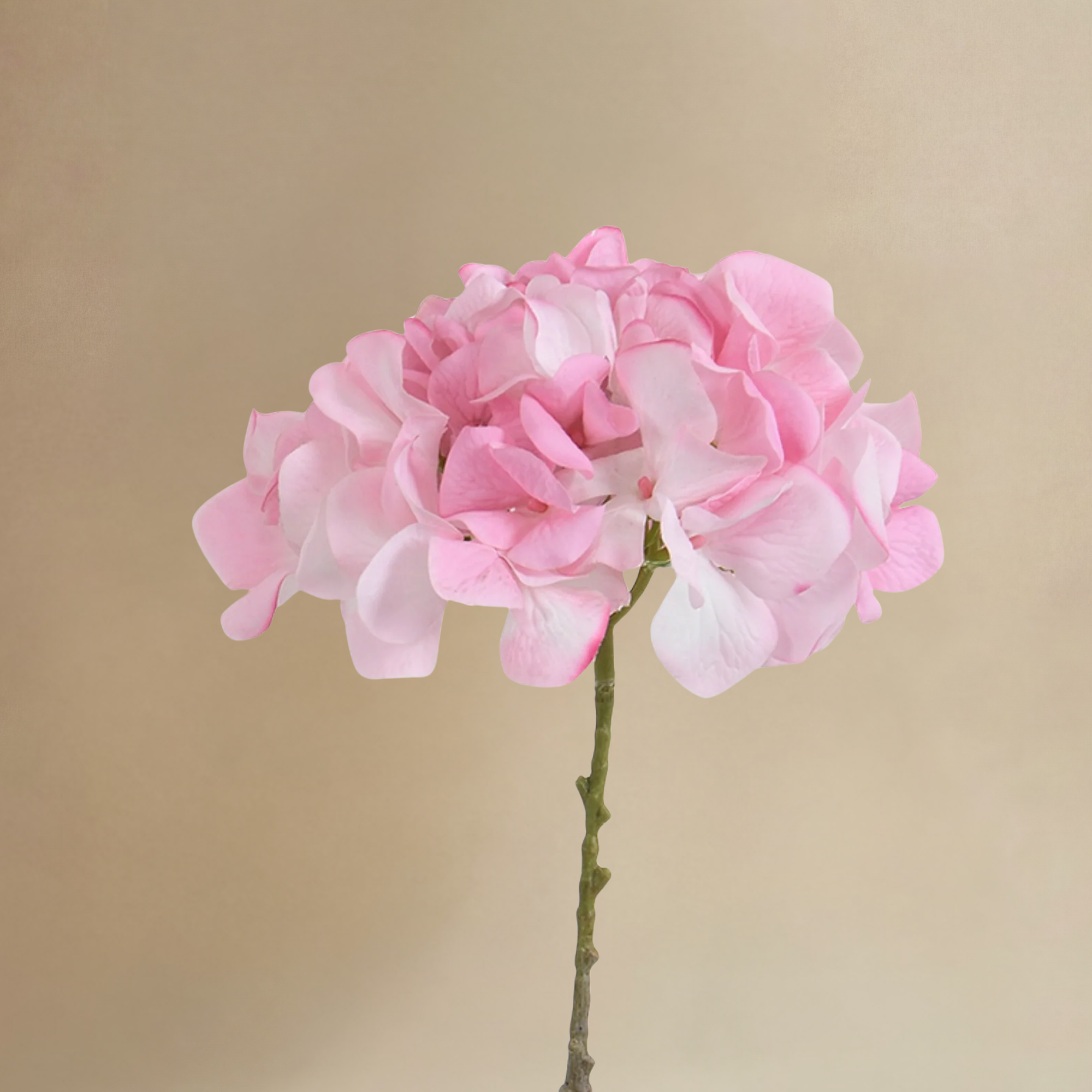 sia-noah-bouquet-hortensia-rose-9-tiges-63-cm image 5