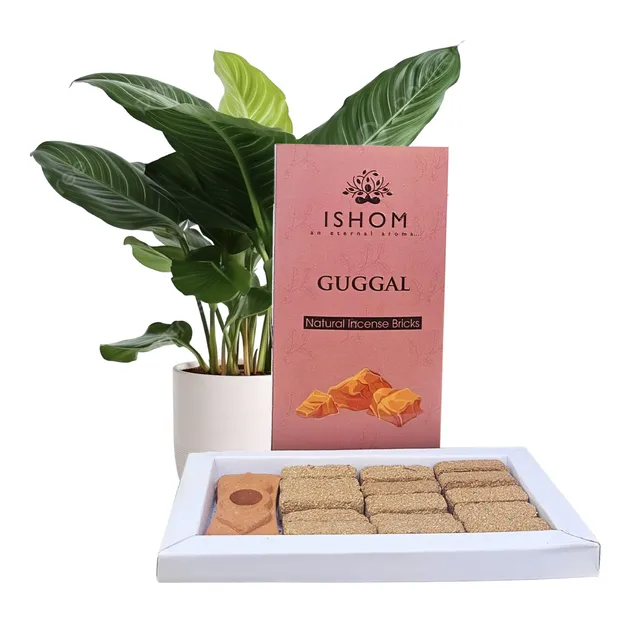 ishom-guggal-briques-d-encens-naturel-15-pi-ces image 1