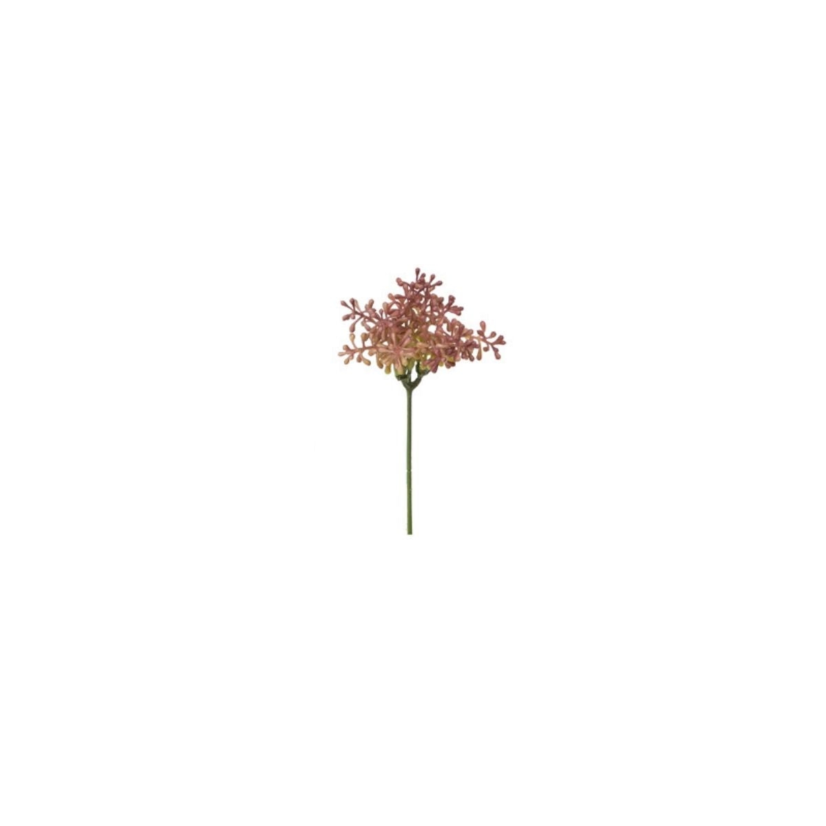 sia-noah-tige-aglaia-feuillage-artificiel-vert-19-cm image 4