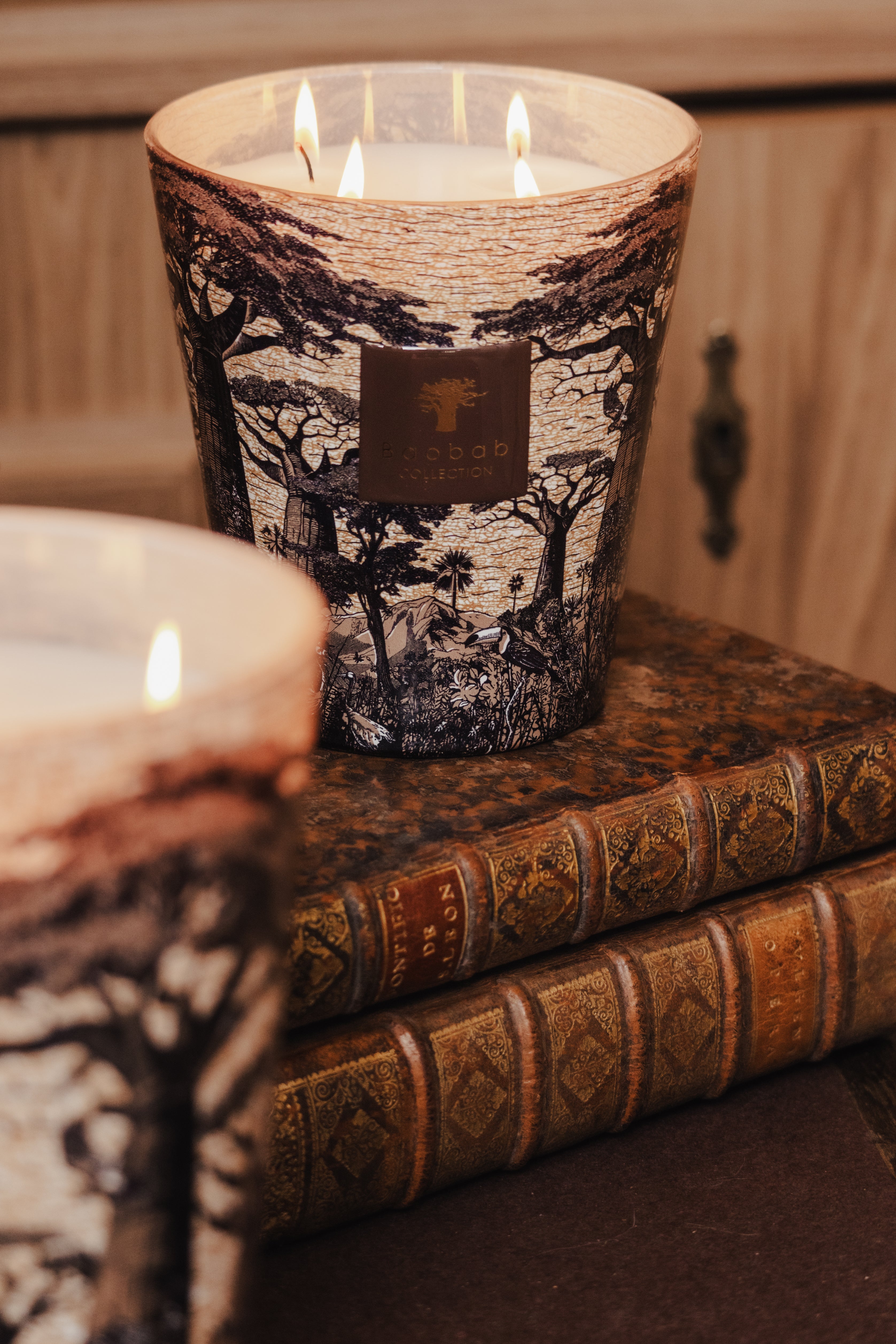 baobab-collection-sacred-trees-mankono-bougie-classique-pic-e image 4