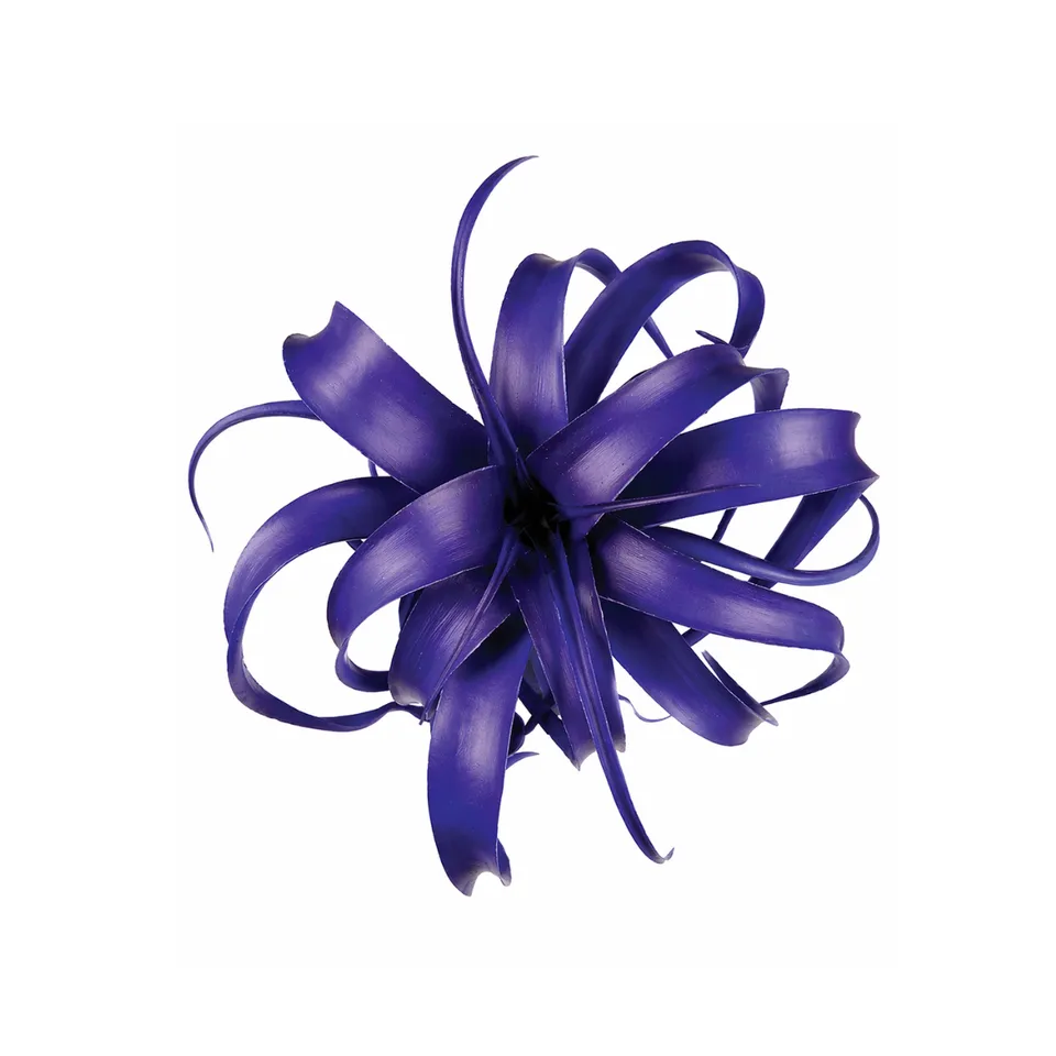 sia-deco-noah-tillandsia-bleue-27-cm-tige-piquer image 1