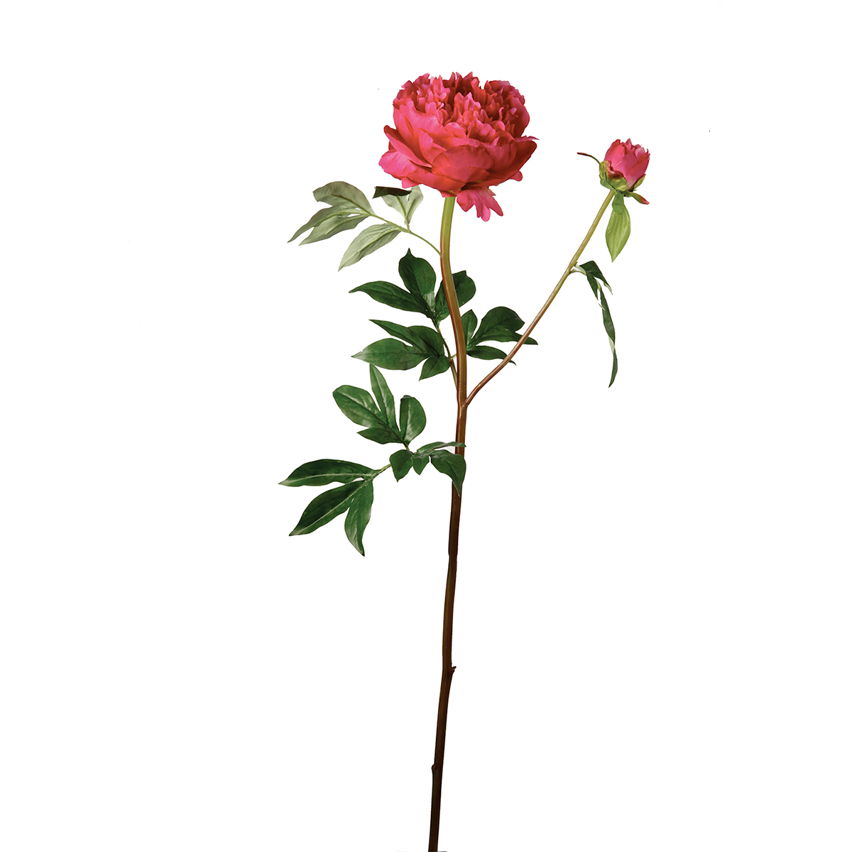 sia-deco-tige-pivoine-artificielle-fuchsia-85-cm image 4