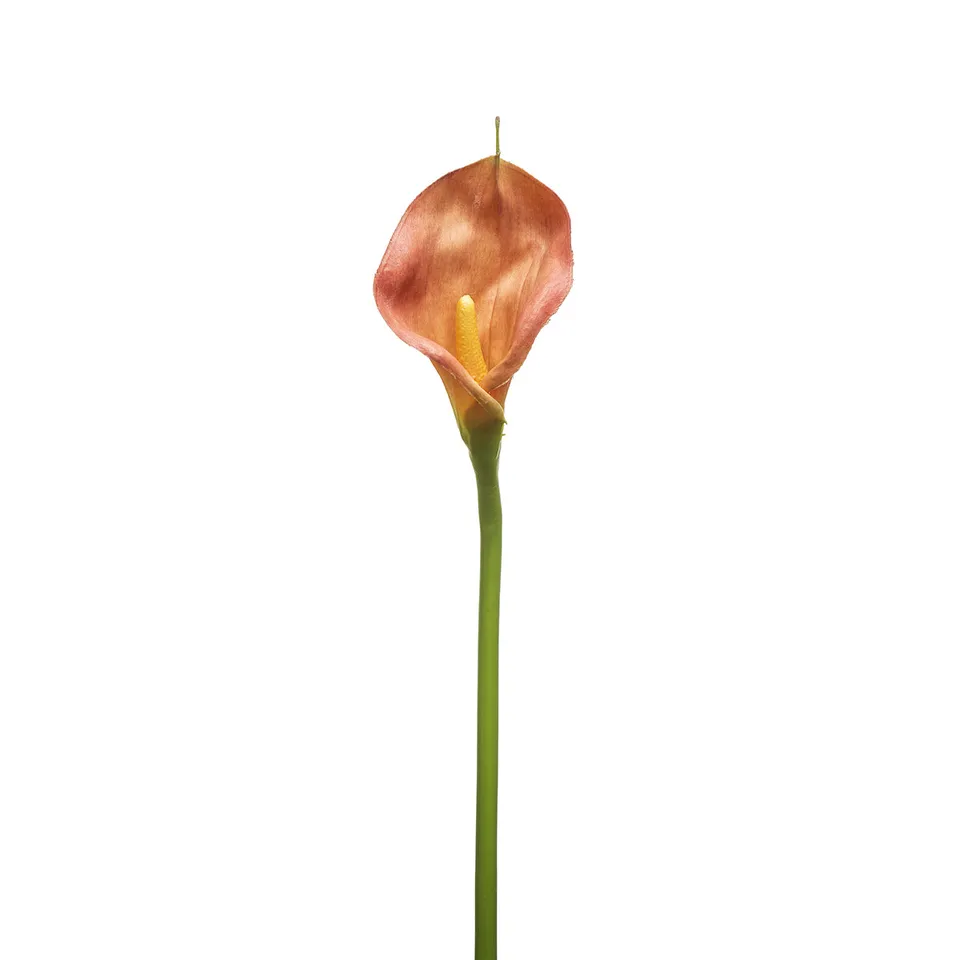 sia-deco-noah-tige-d-arum-artificiel-orange-78-cm image 1