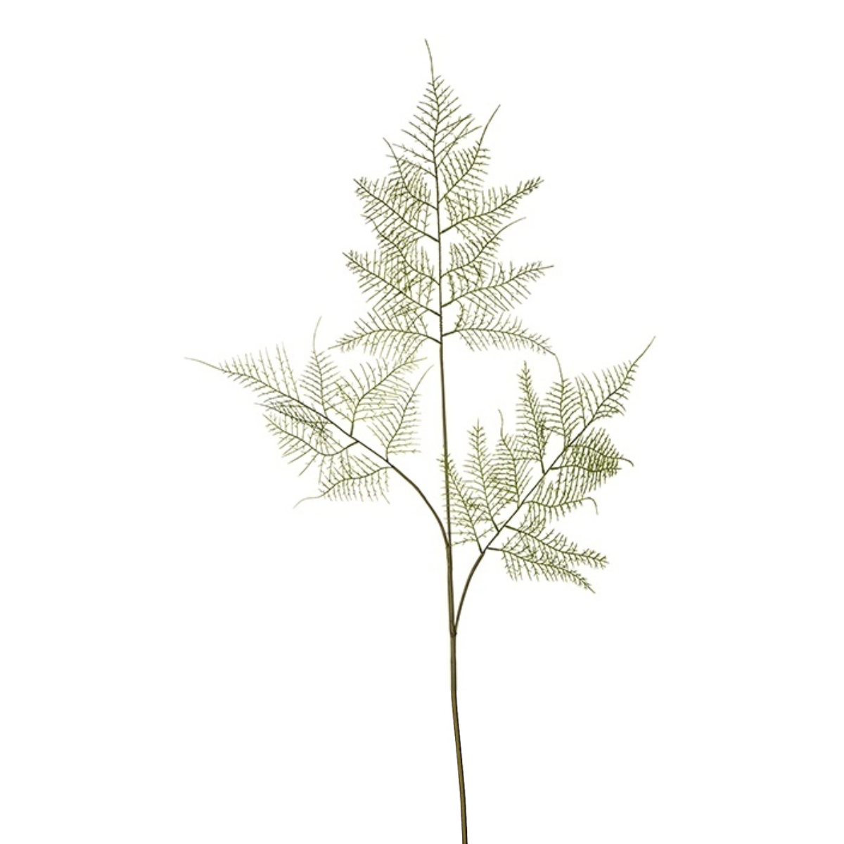 sia-deco-noah-feuillage-asparagus-90-cm-vert image 1