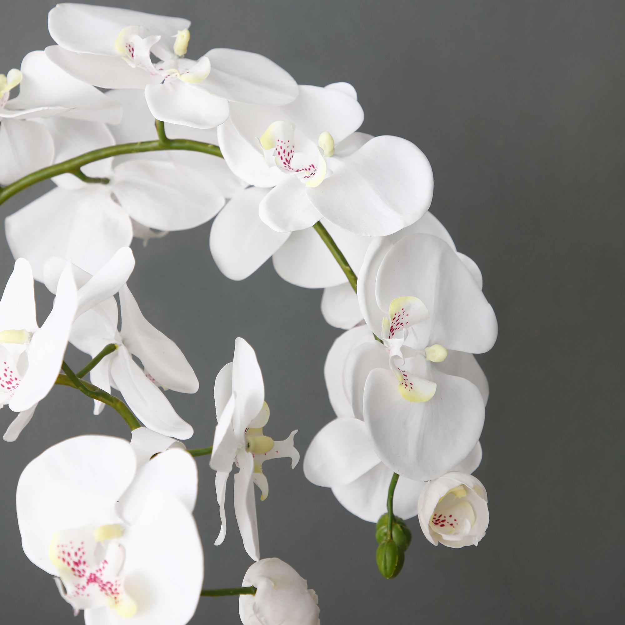 sia-noah-orchid-e-artificielle-terre-75-cm-blanc-phalaenopsis image 4