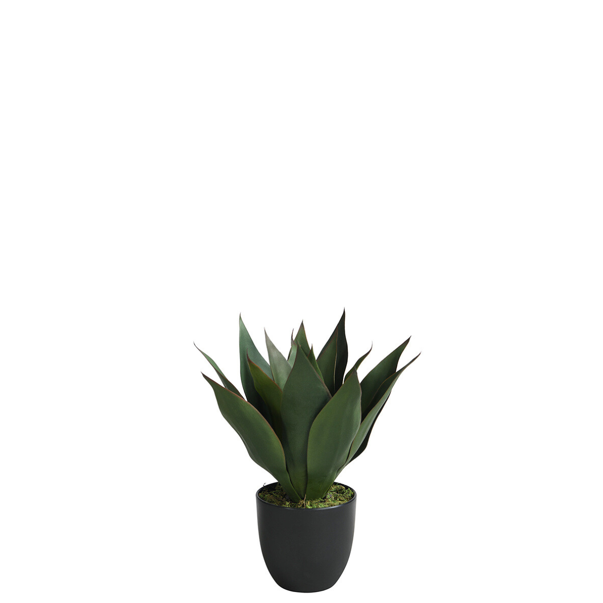 sia-deco-noah-agave-artificiel-en-pot-vert-35-cm image 1