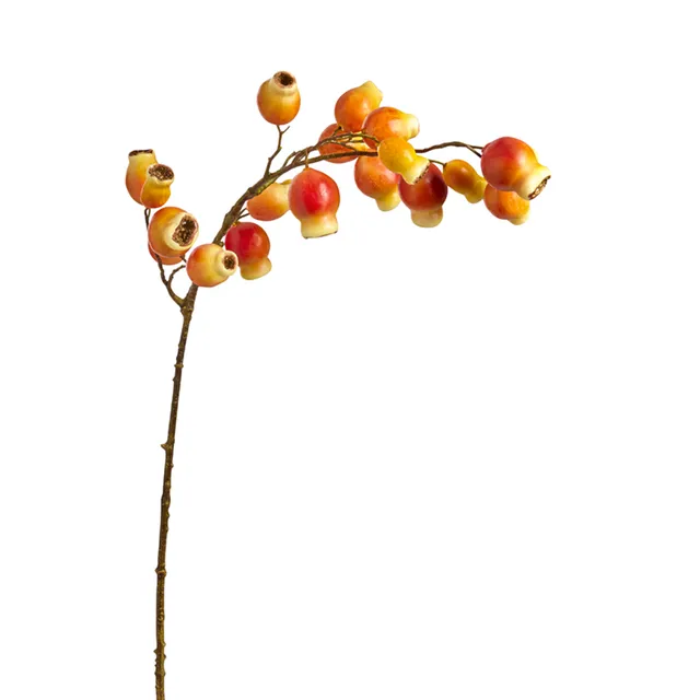 sia-noah-branche-glantier-orange-90-cm-baies image 1