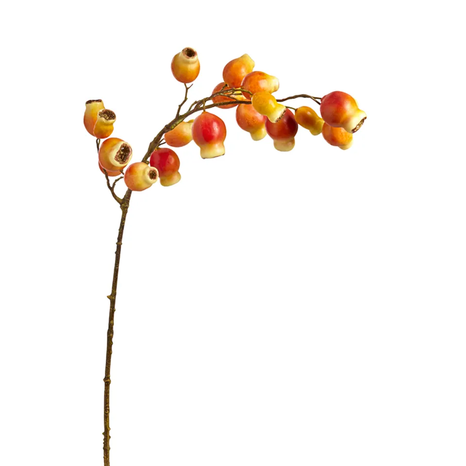 sia-noah-branche-glantier-orange-90-cm-baies image 1