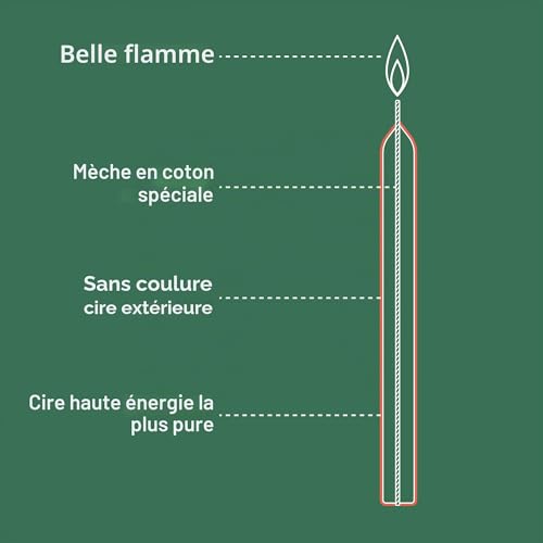 bolsius-essentials-bougie-conique-rouge-17-cm-lot-8-5h image 8