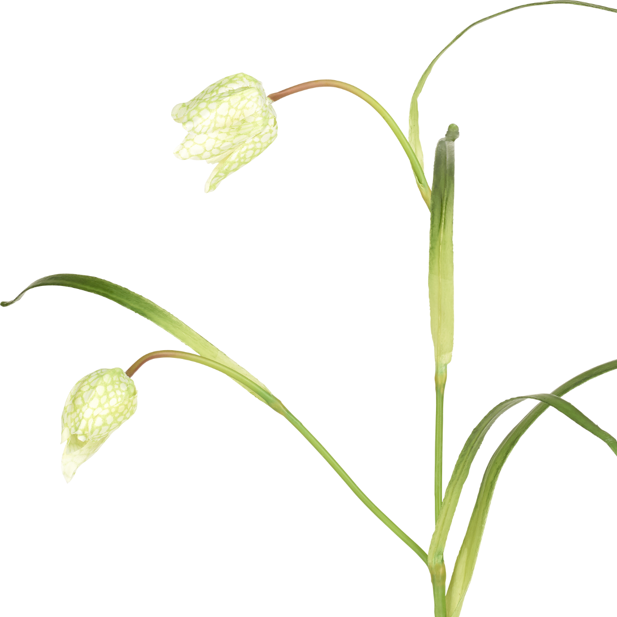 sia-deco-noah-tige-fritillaria-imp-riale-fleur-artificielle-rouge-70-cm image 8