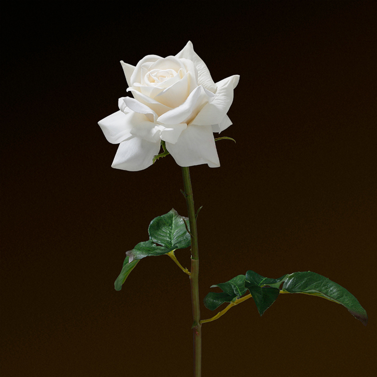 sia-noah-tige-rose-dutchess-premium-artificielle-rouge-50cm image 7