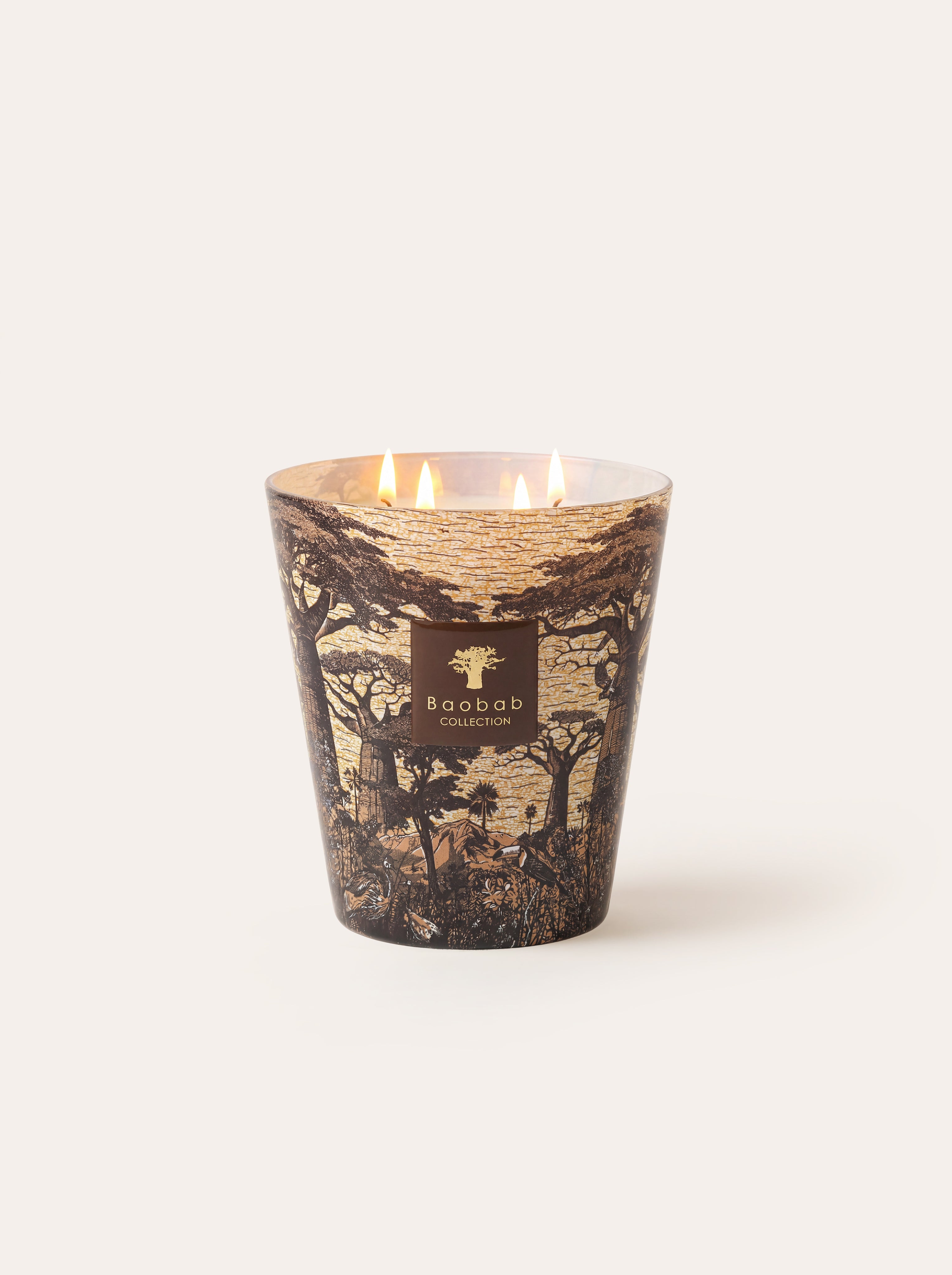 baobab-collection-sacred-trees-mankono-bougie-classique-pic-e image 6
