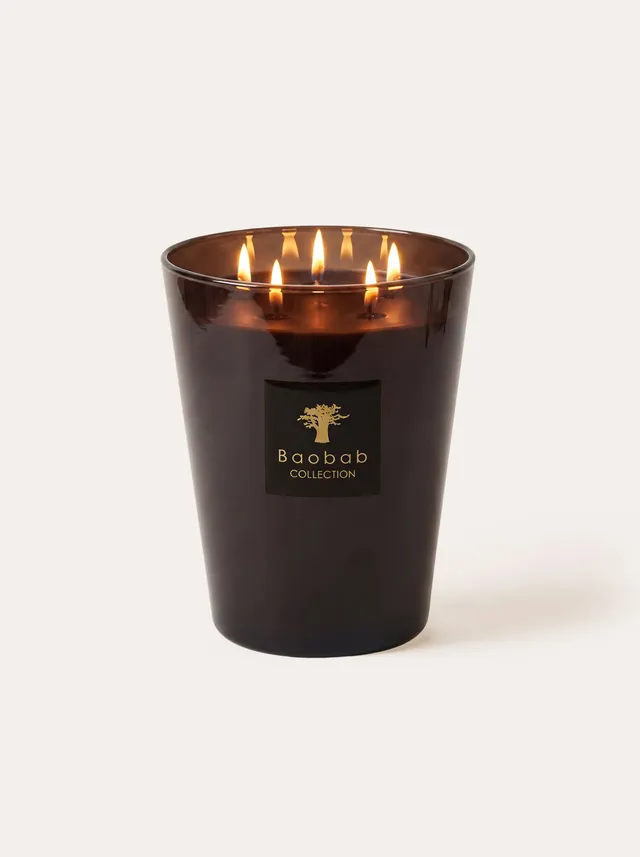 baobab-les-prestigieuses-encre-de-chine-bougie-classique image 1