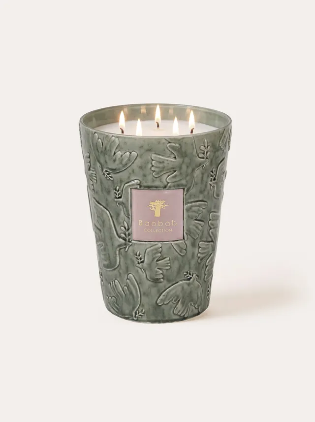 baobab-collection-paz-colombe-bougie-parfum-e-c-ramique-verte image 1
