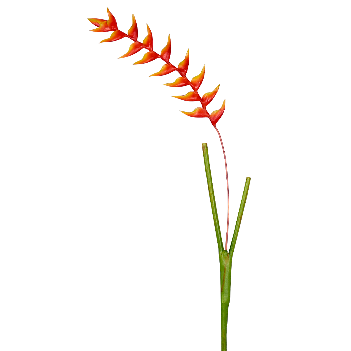 sia-noah-heliconia-tige-artificielle-orange-94-cm image 5