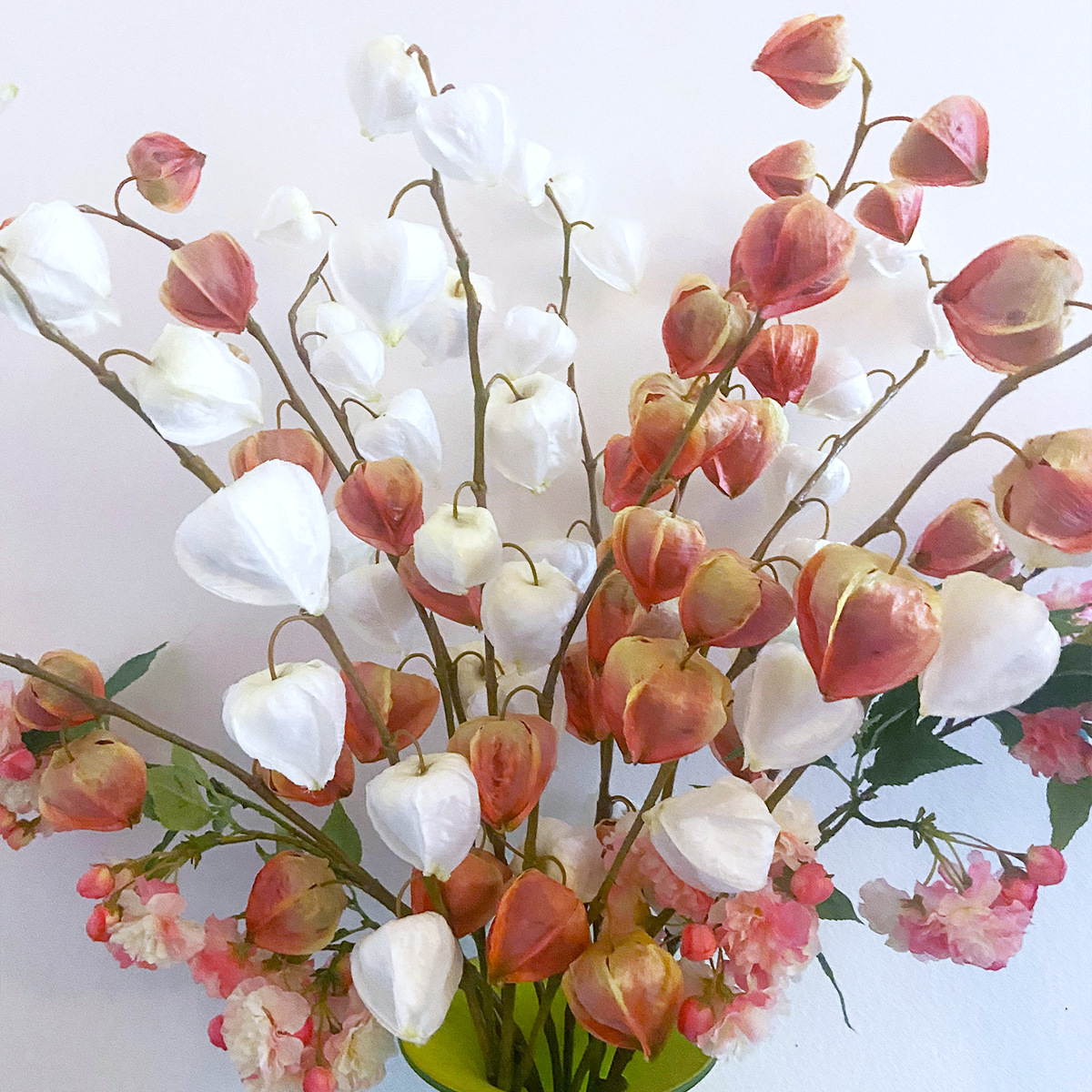 sia-noah-tige-physalis-rose-54-cm-fleur image 7
